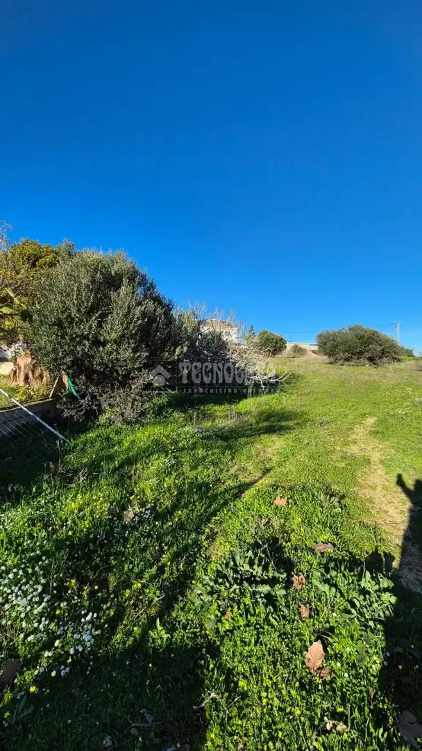 Rural land for sale in Conil, imagen 2