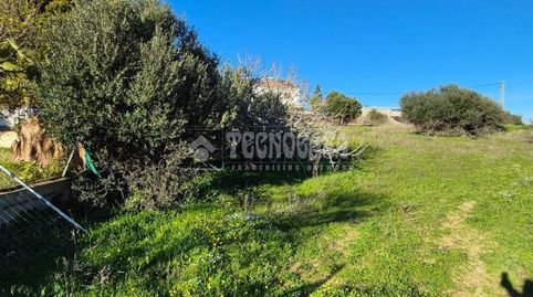Terrenos en venta en Conil de la frontera, imagen 2