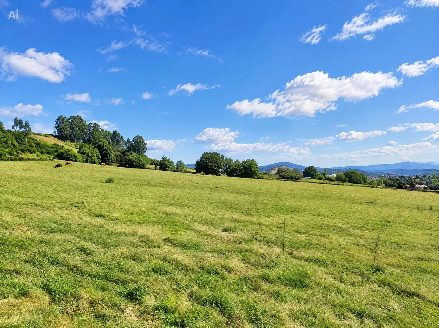 Rural land for sale in Lugar LLORIANES, imagen 25