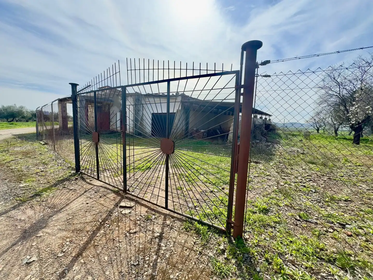 Casa rústica amb terrassa en venda a Torrenueva, imagen 68