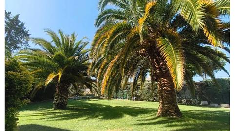 Photo 2 of Flat to rent in Calle Duero, 60, El Bosque, Villaviciosa de Odón