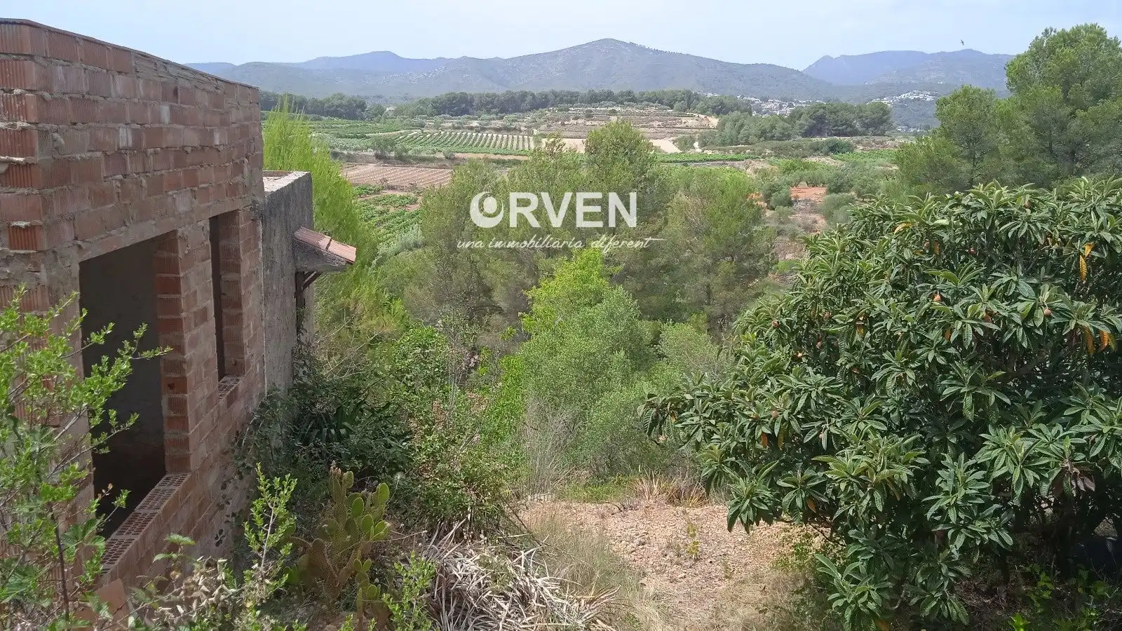 Rural land for sale in Carretera T-240 s/n, imagen 5