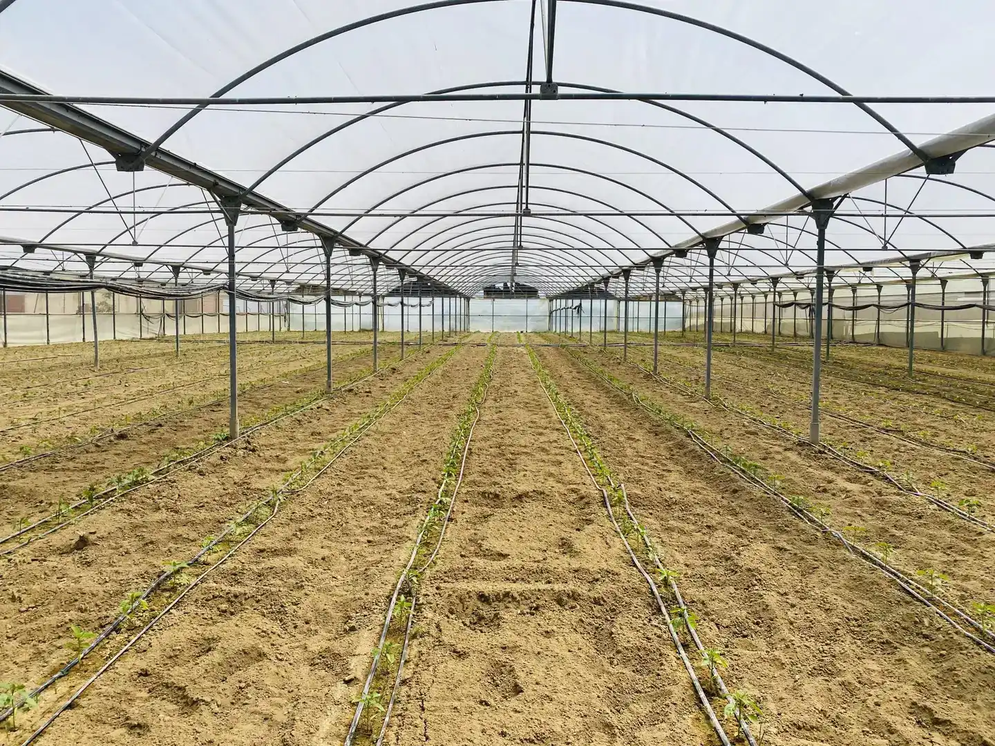 Finca rústica en venda en Ctra Jerez - Ctra del Puerto
