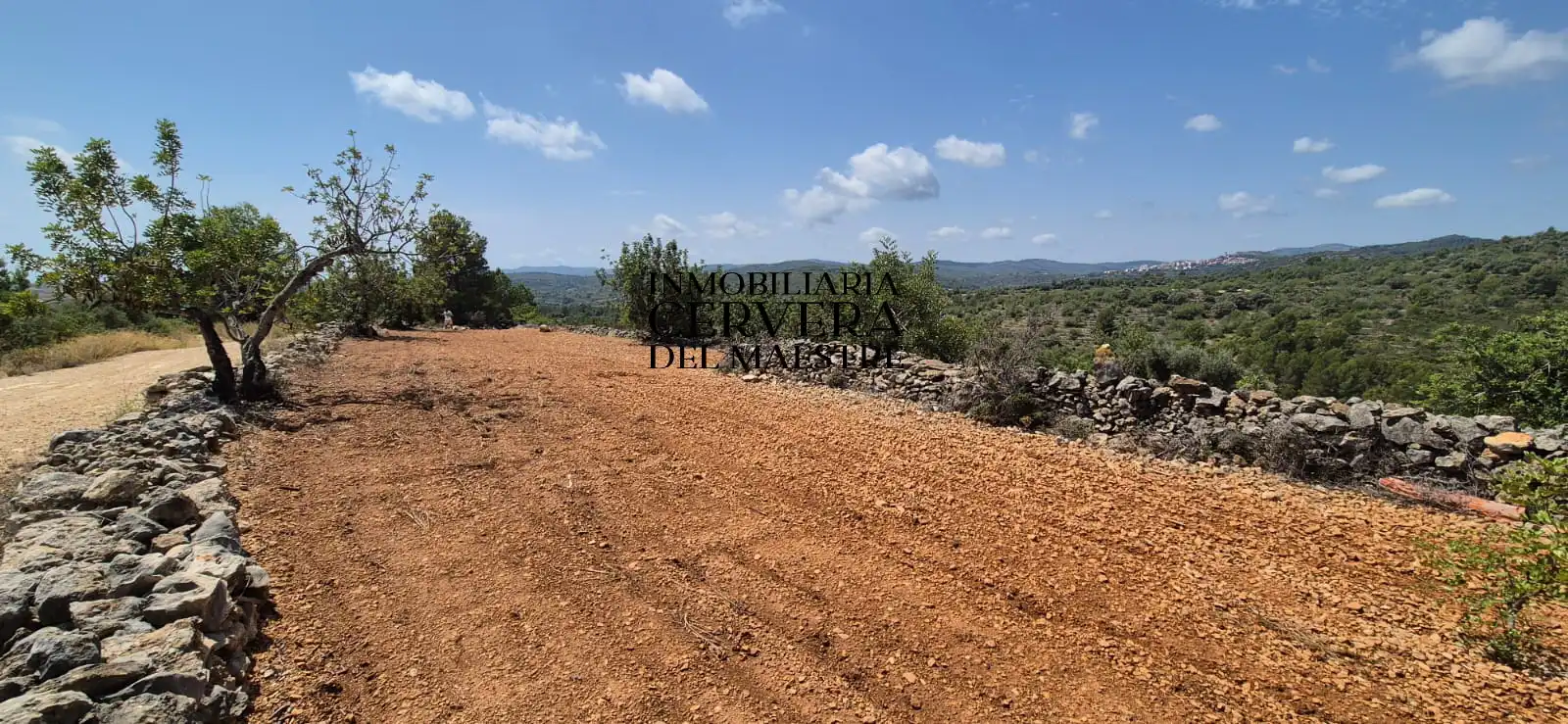 Rural land for sale in Cervera del Maestre