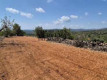 Rural land for sale in Cervera del Maestre
