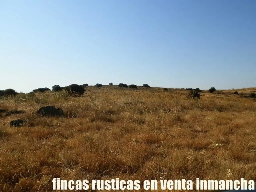 Terrenys i solars en venda a Almagro, imagen 16