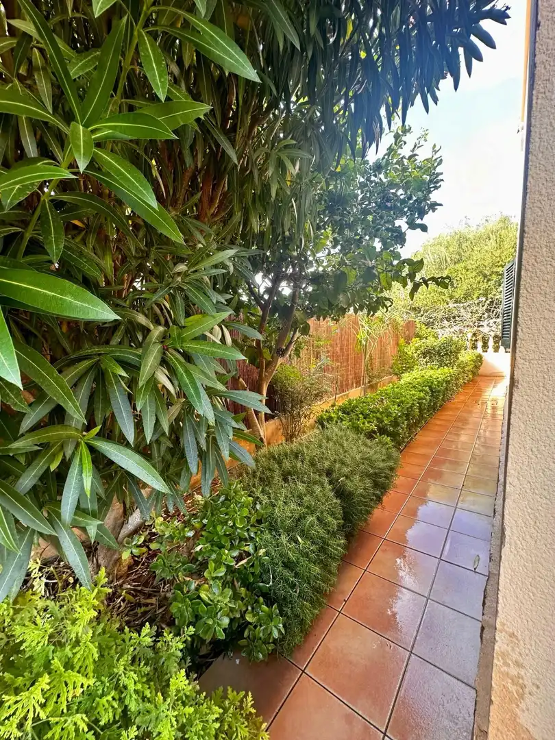 Garden of Houses for rent in Manacor  with Air Conditioner, Private garden and Terrace
