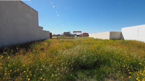 Se vende solar en el poligono 20 tomelloso con 230 m2 y 12 metros de fachada