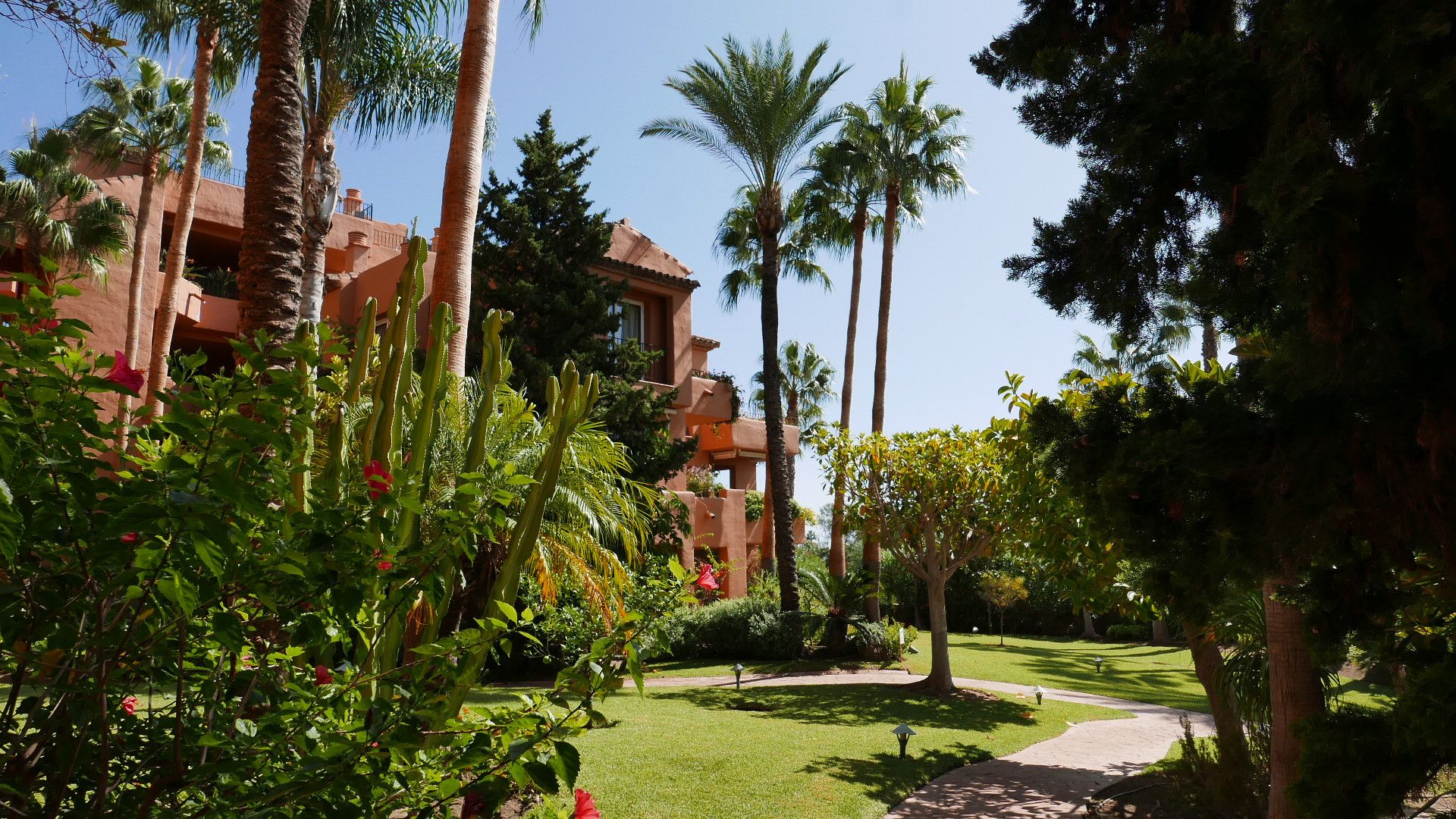 Garden of Attic to rent in Marbella  with Terrace, Swimming Pool and Community pool