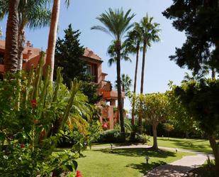 Garden of Attic to rent in Marbella  with Terrace, Swimming Pool and Community pool