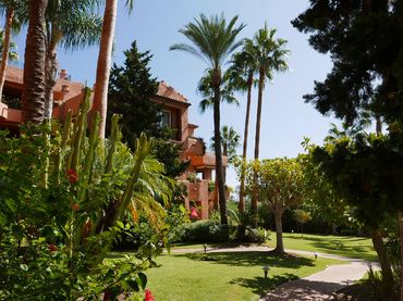 Penthouse with pool to rent in VILLA PARRA PALOMERAS 1