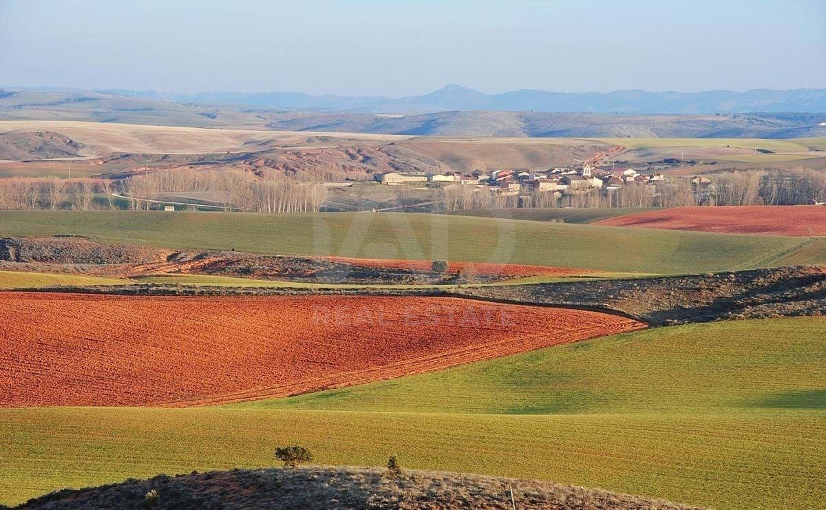 Land for sale in Morón de Almazán