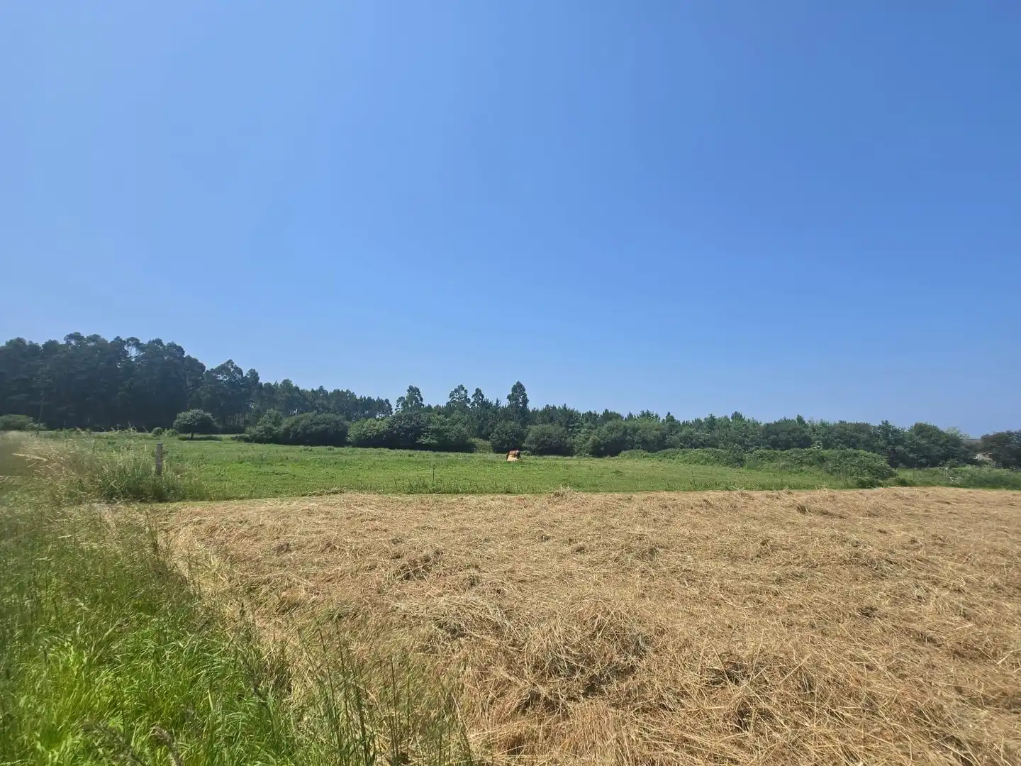 Residential land for sale in Carretera GENERAL SAN PEDRO 148, imagen 28