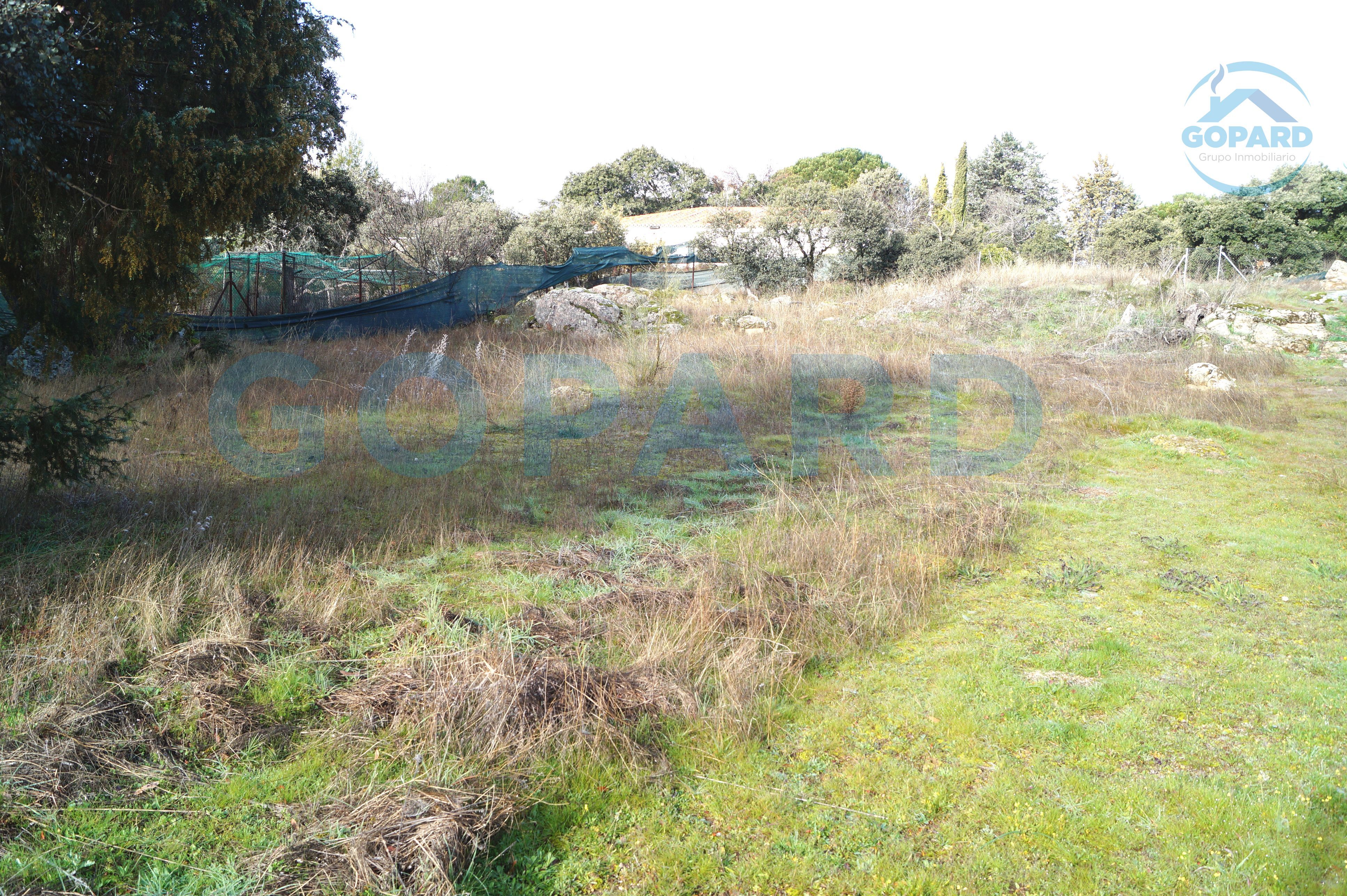 Residential for sale in Valdemorillo
