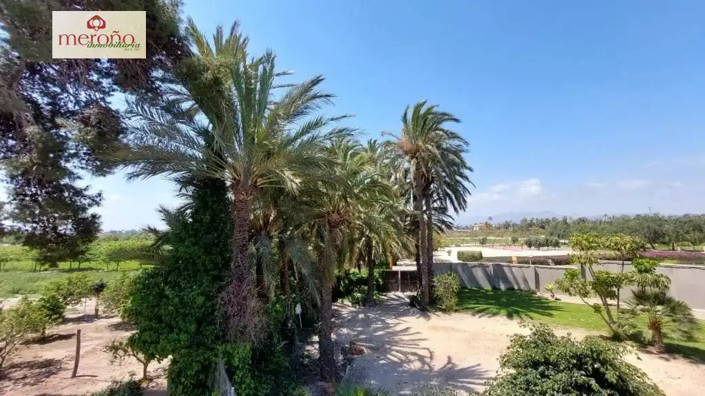 Vista exterior de Casa o xalet en venda en Elche / Elx amb Aire condicionat, Jardí privat i Terrassa
