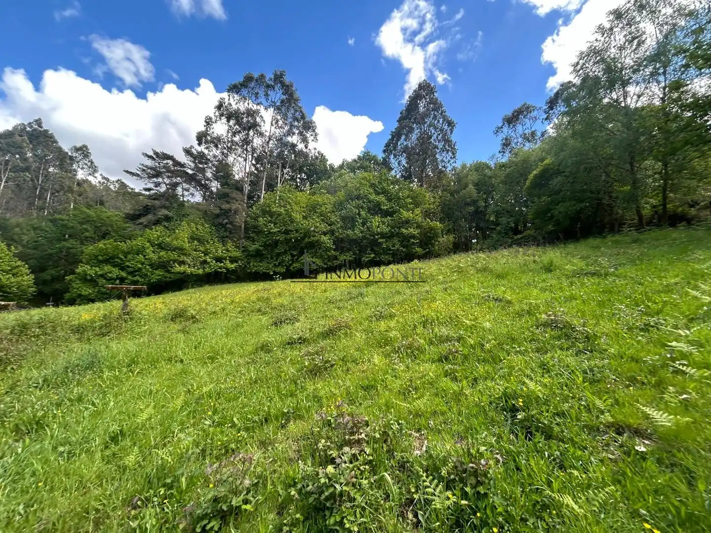 Casa o xalet en venda en Forcarei amb Jardí privat