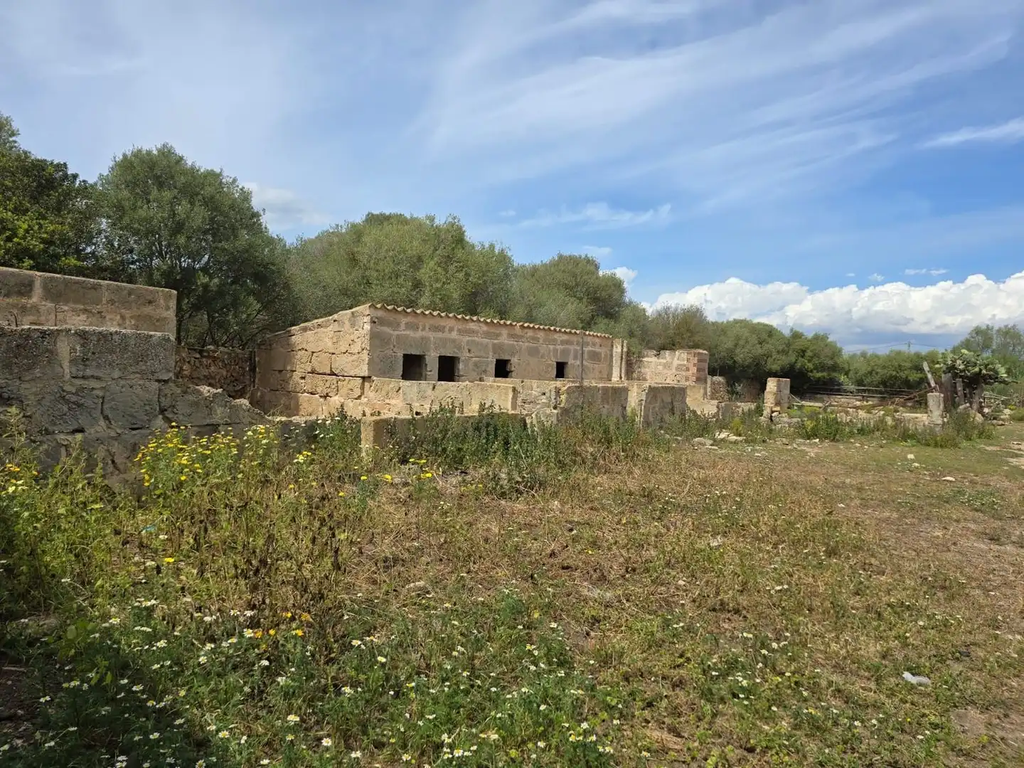 Finca rústica en venda en  Palma de Mallorca amb Jardí privat, Terrassa i Traster