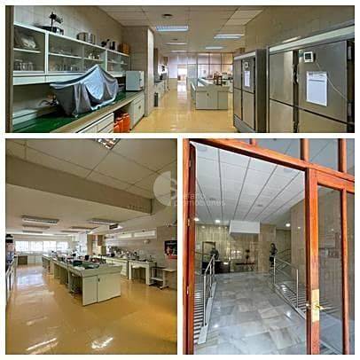 Oficina en Venta en Carranque - Haza Cuevas