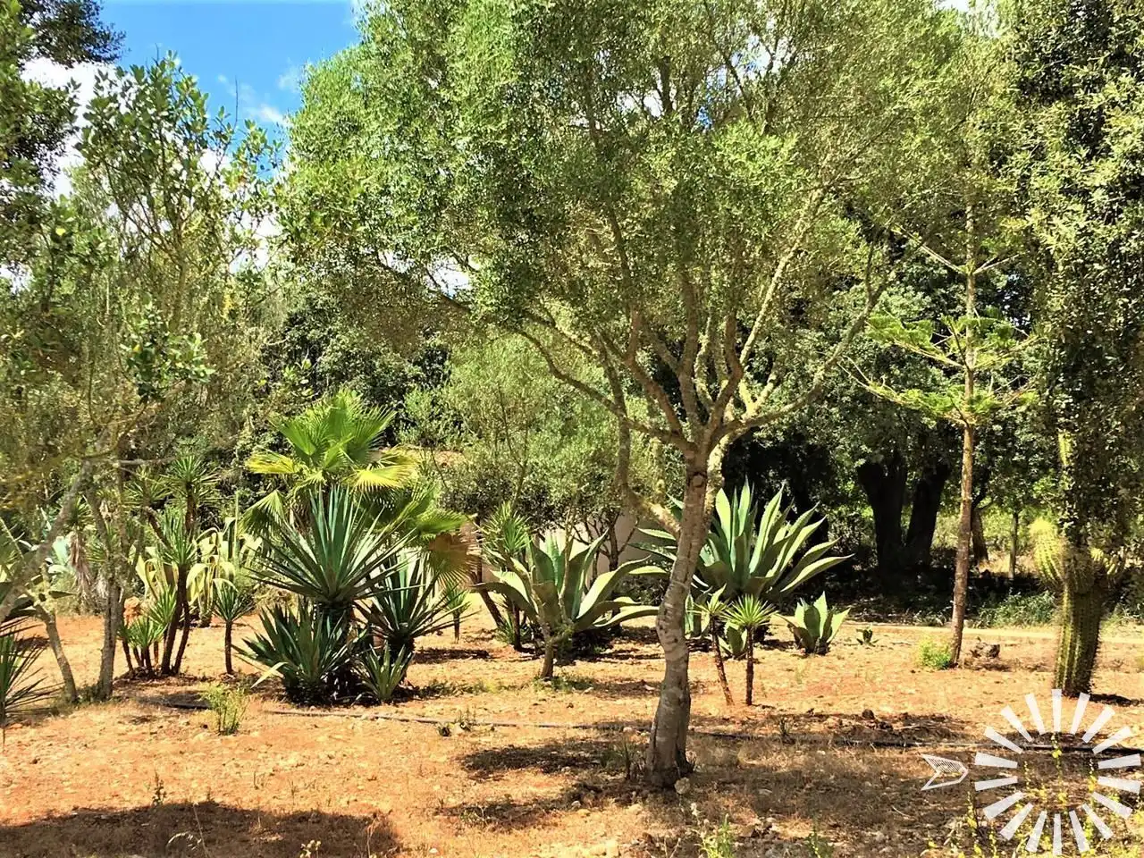 Maison avec piscine à louer à Camí de Son Servera, imagen 27