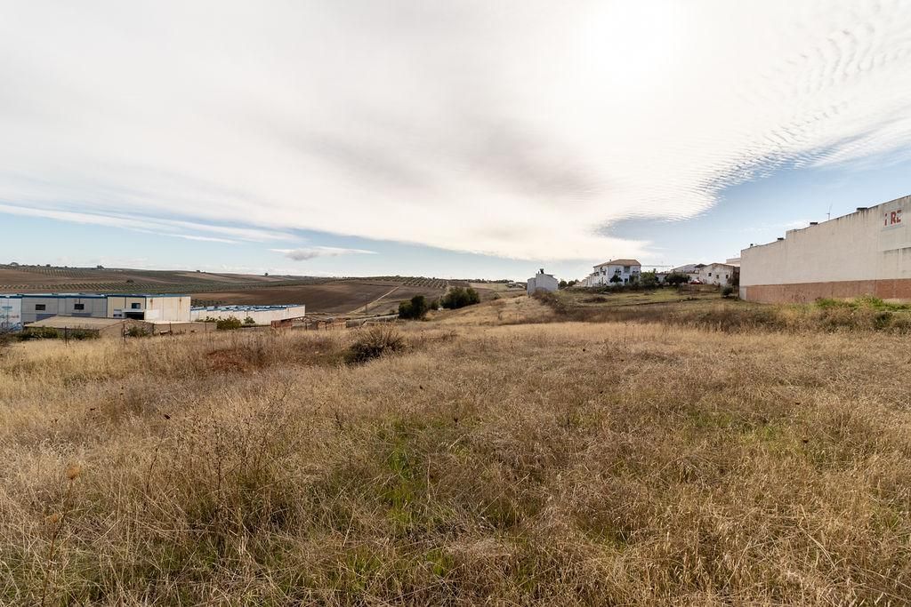 Residential for sale in La Carlota