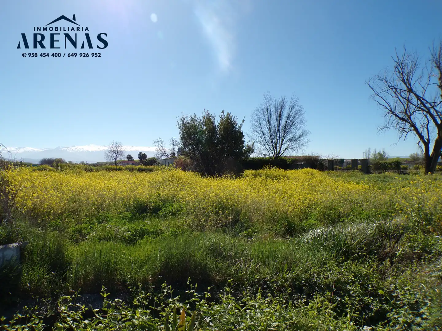 Terrains et parcelles à vendre à Calle Pedro Salinas, imagen 7