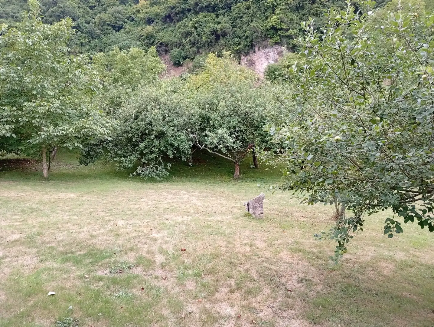 Terreny rústic en venda a Camín de la Xía 686, imagen 23