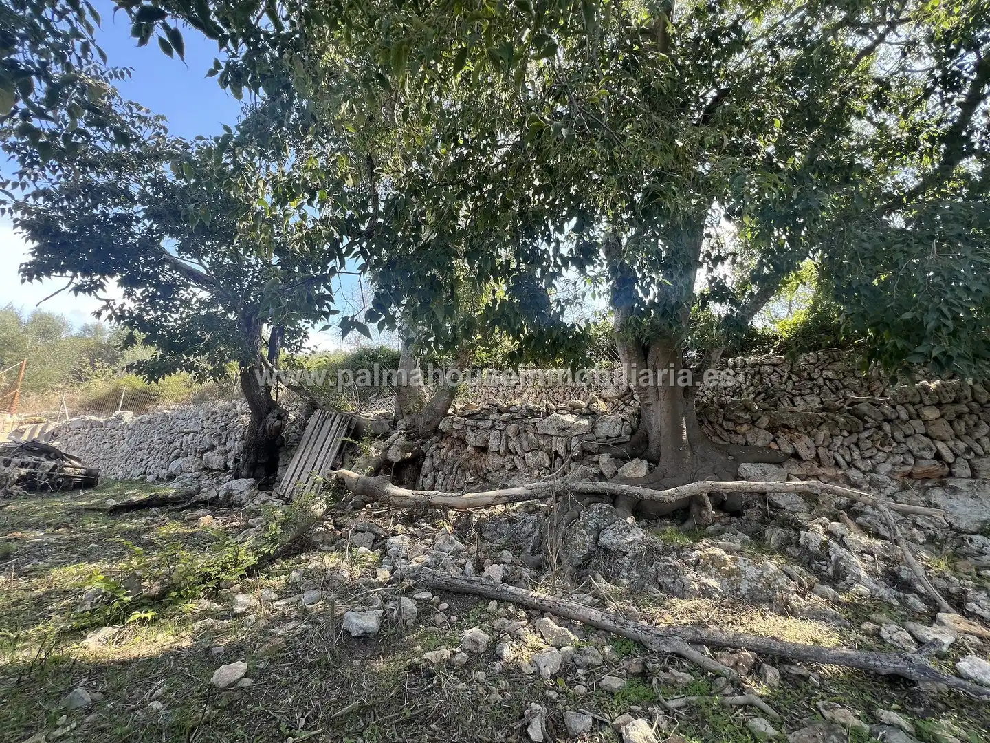 Grundstücke und Bauplätze zum Verkauf in Llubí, imagen 6