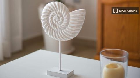 Photo 3 of Apartment to share in Almuñecar Centro, Granada