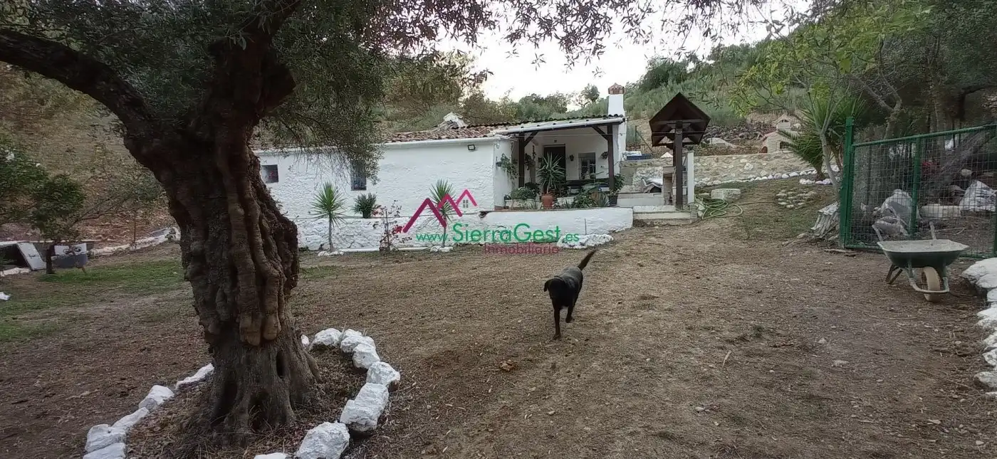 Terreni e lotti in vendita a Benaocaz, imagen 46