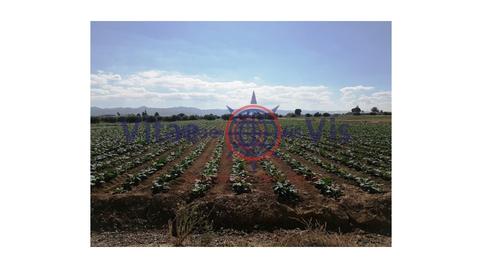 Foto 5 de Residencial en venda a N/a, -1, Tercia, Lorca