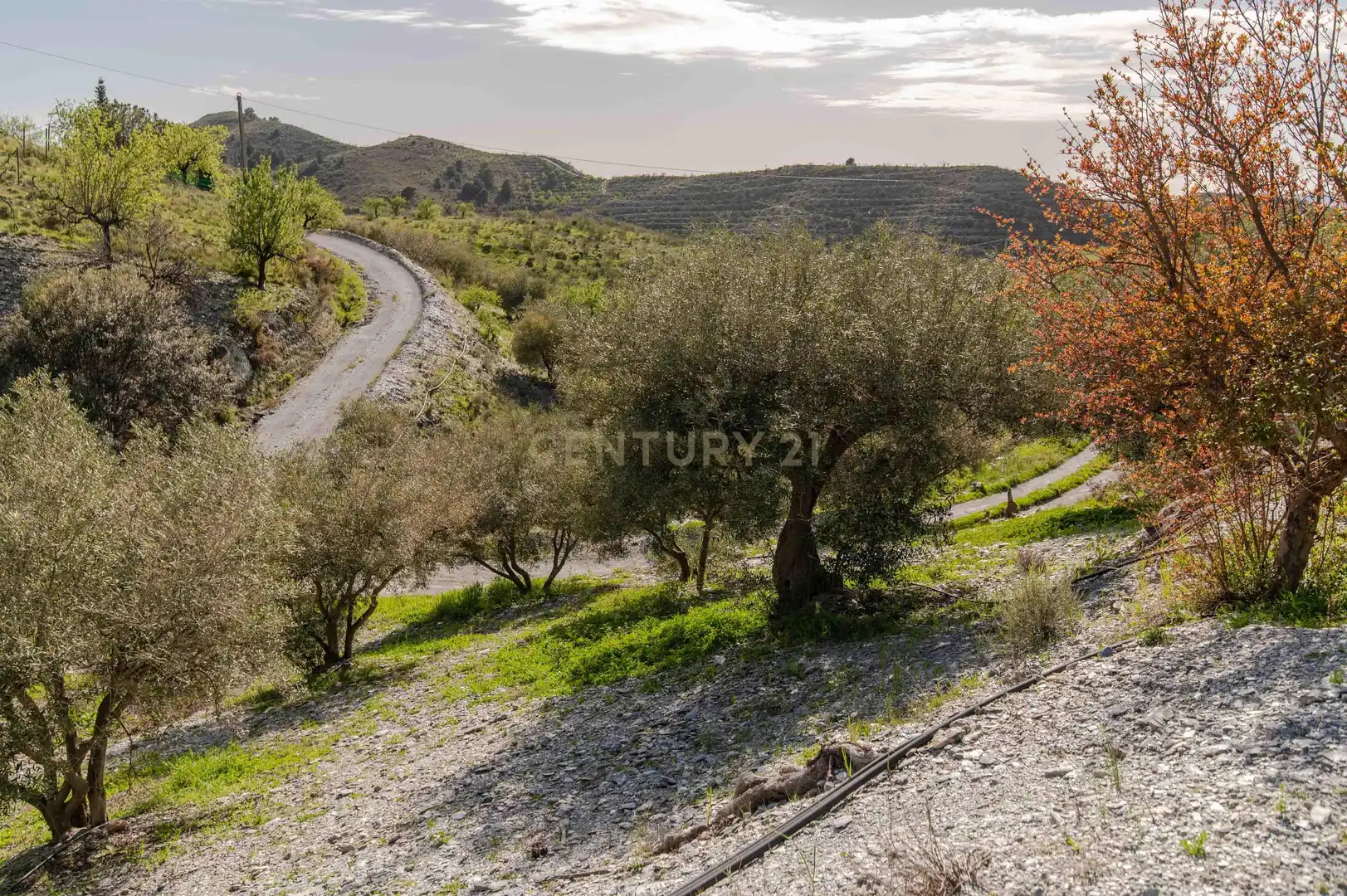 Maison à vendre à 18670 Vélez de Benaudalla, Spain, imagen 54