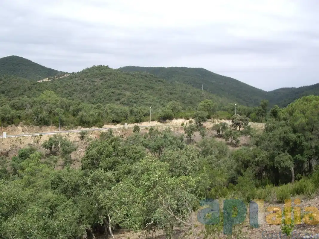 Terreny residencial en venda a Carrer Avet