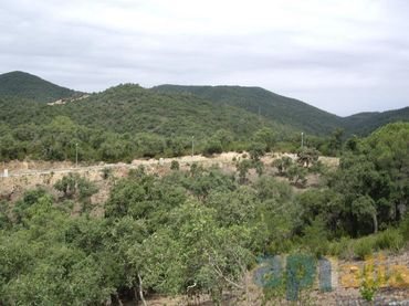 Terreno residenziale in vendita a Carrer Avet