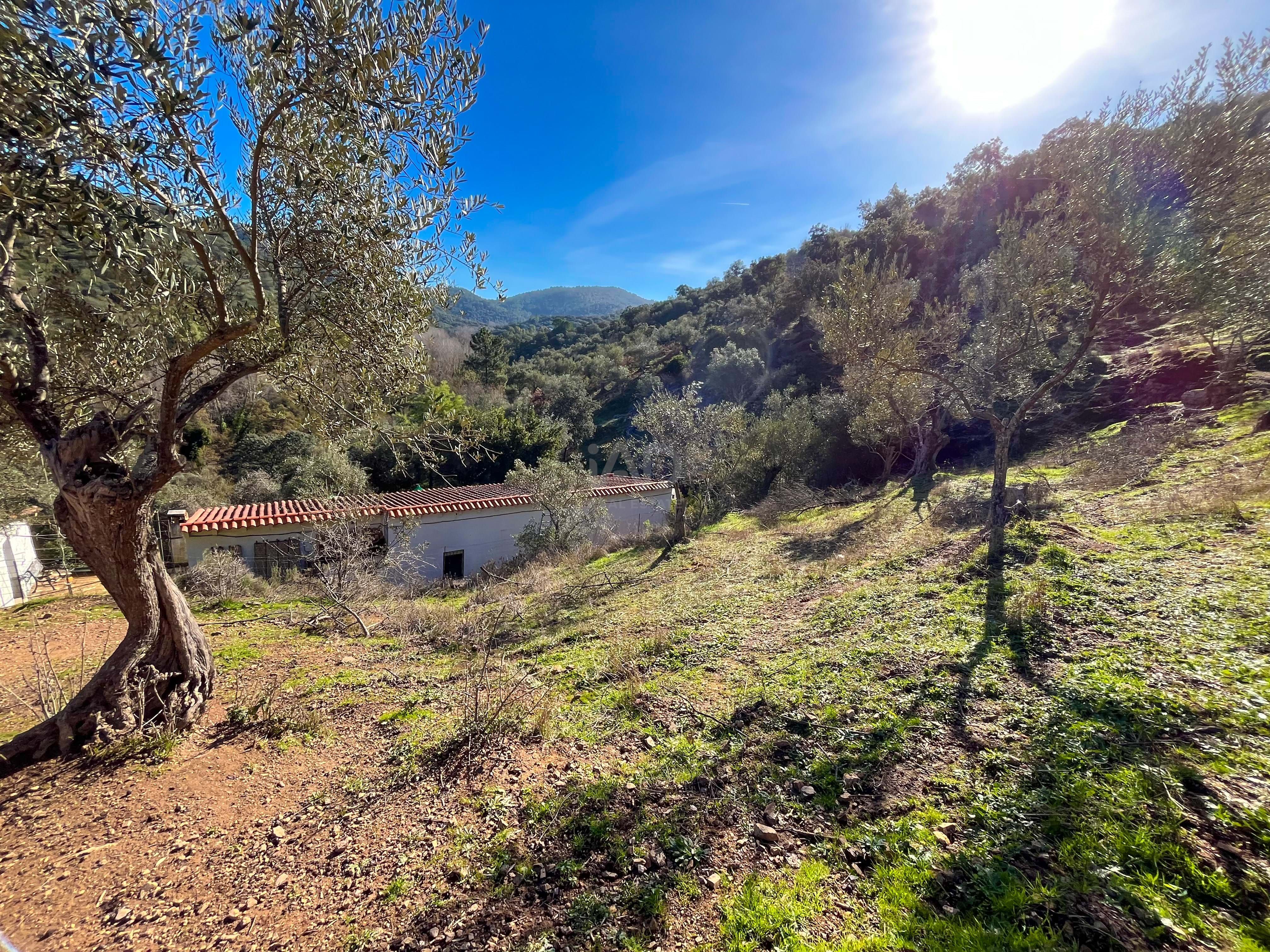 Terreno en venta en La Nava