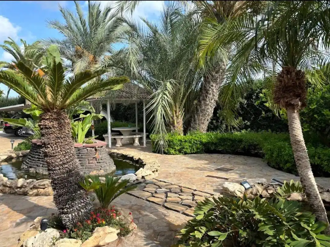 Detached house for sale in Carretera Santa Pola -Elche, imagen 2