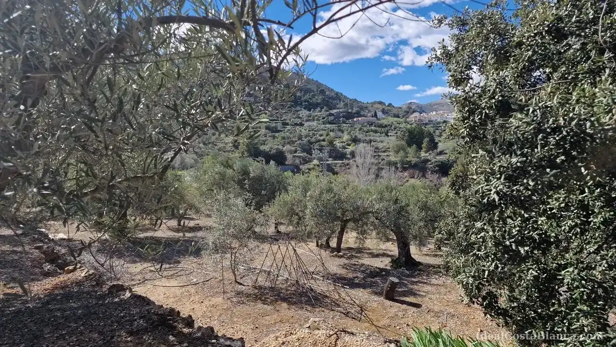 Maison rustique à vendre à Confrides, imagen 19