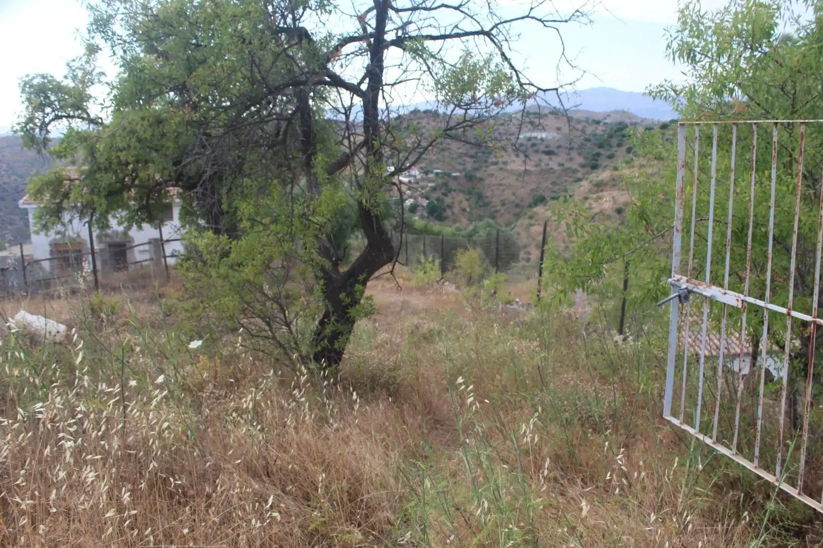 Finca rústica en venda en Almogía