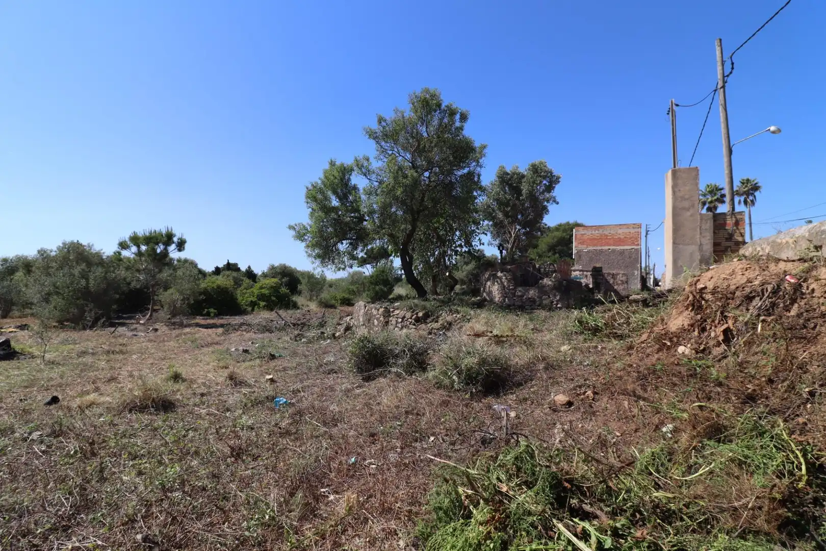 Terreno rustico in vendita a Alcanar, imagen 3