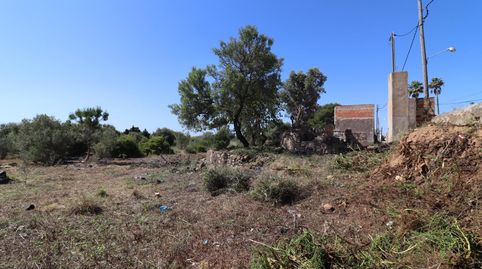 Prat en Camí Virol, immagine 3