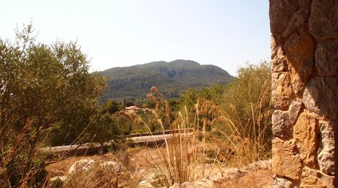 Casa con Caracter en plena Naturaleza , Esporles !!!, imatge 4
