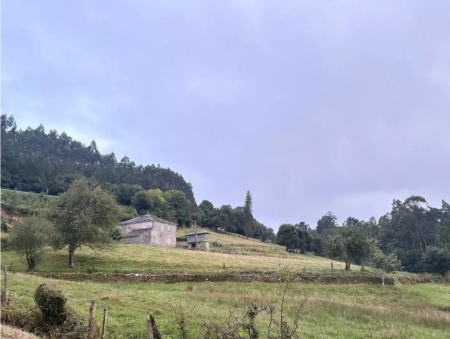 Vista exterior de Finca rústica en venda en Viveiro amb Jardí privat