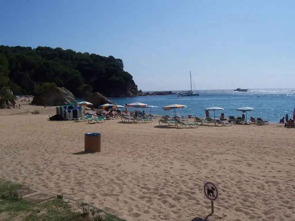 Residential land for sale in Serra Brava, imagen 2