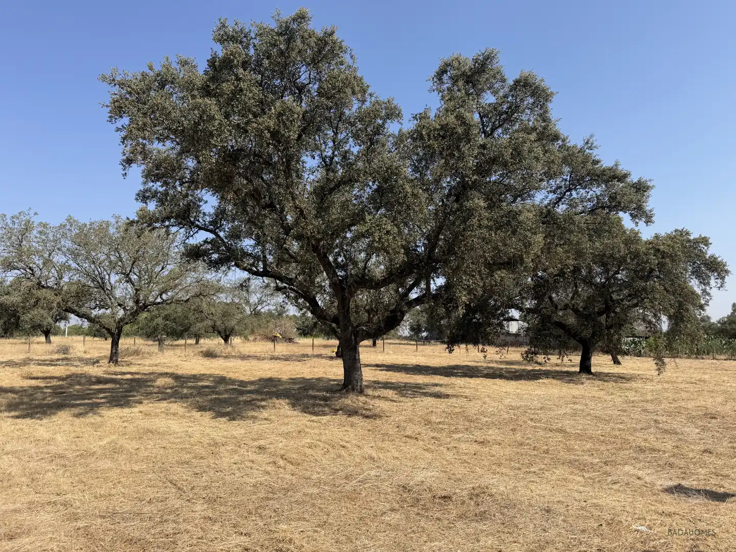 Finca rústica en venta en Badajoz con Jardín privado, Terraza y Trastero