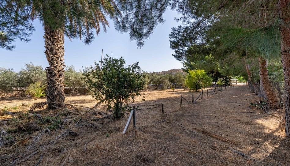 Photo 1 of Country house for sale in Carretera Diseminados, Alhabia, Almería