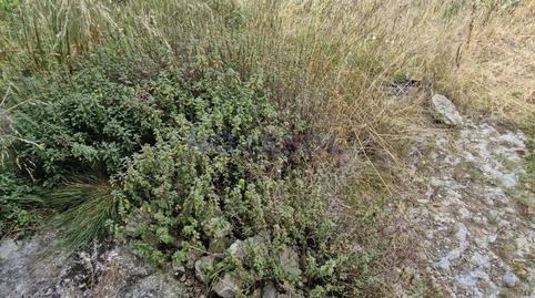 Photo 4 of House or chalet for sale in Calle Argoños, Argoños , Cantabria