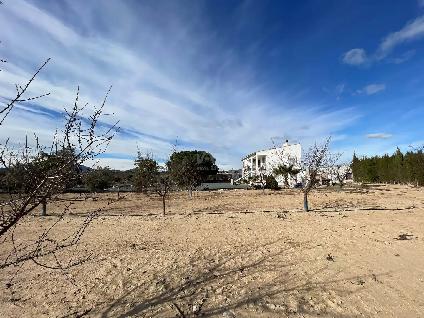 Casa o xalet en venda en Blanca amb Aire condicionat, Calefacció i Terrassa