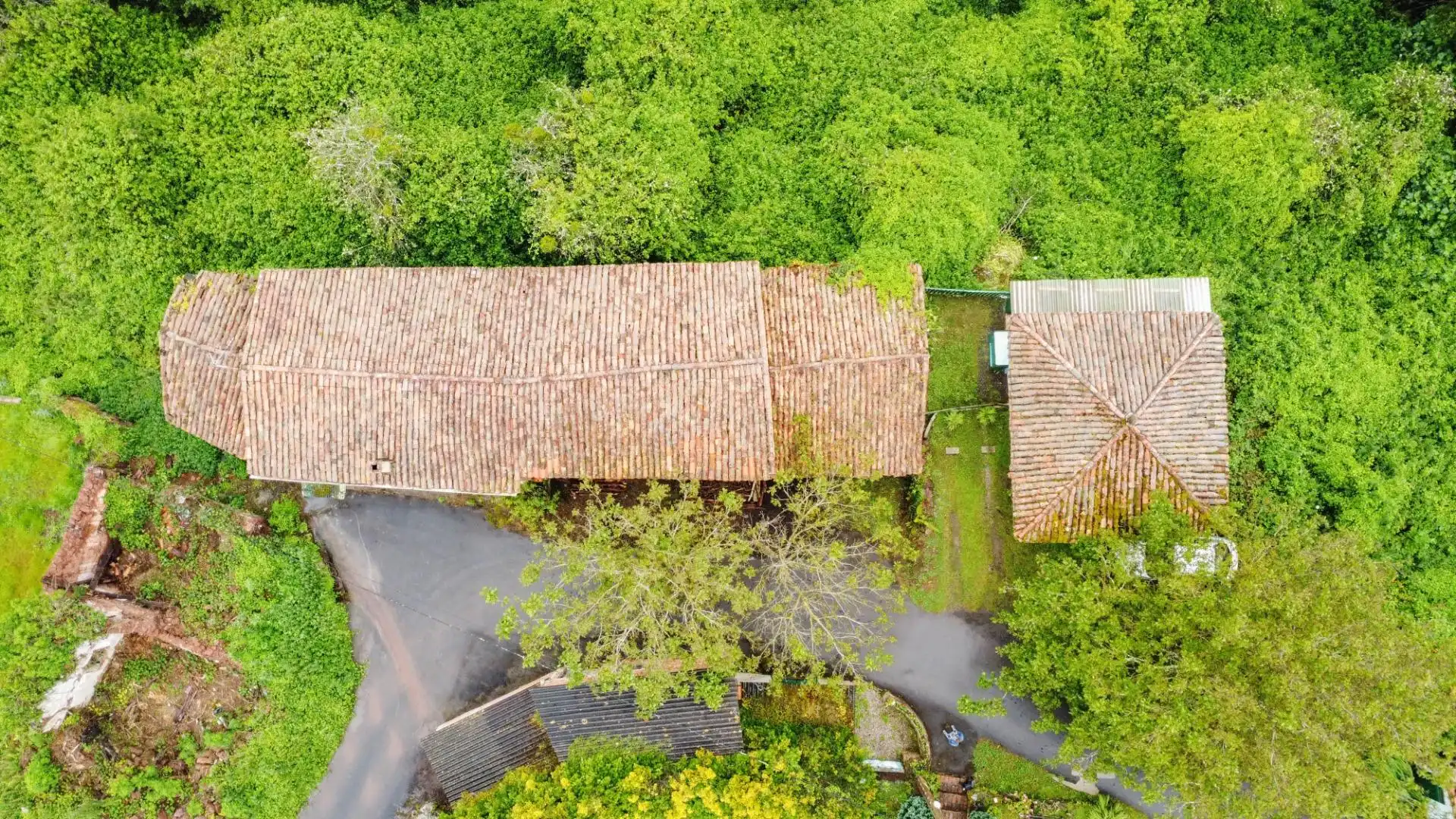 Exterior view of Houses for sale in Villaviciosa