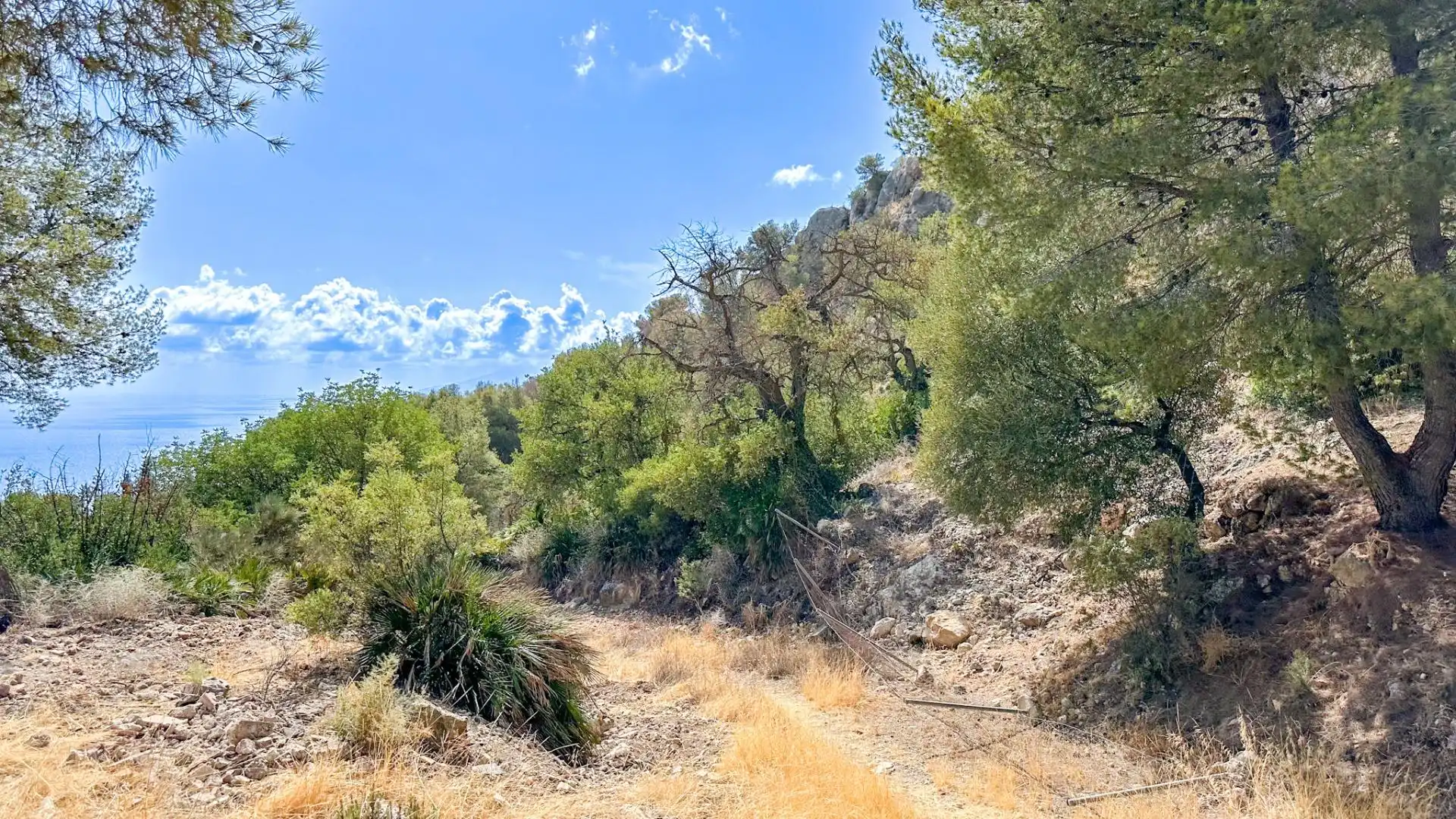 Residencial en venta en Málaga