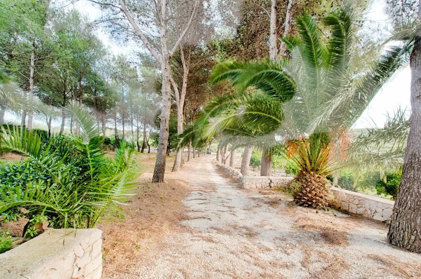 Casa rustica con piscina in vendita a Gata de Gorgos, imagen 22
