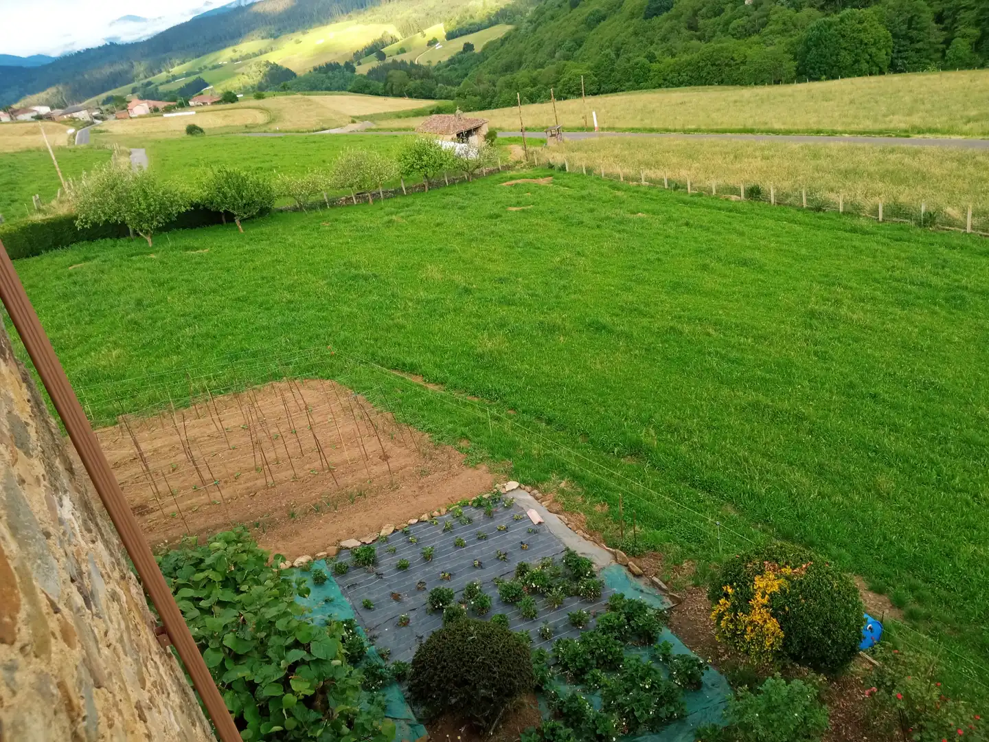 Jardín de Finca rústica en venta en Tineo con Jardín privado, Parquet y Terraza